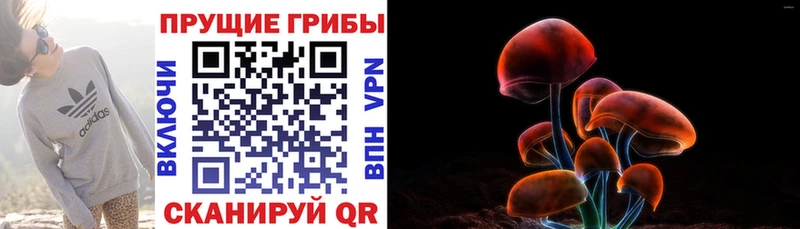 Галлюциногенные грибы Cubensis  блэк спрут ССЫЛКА  Полярный 
